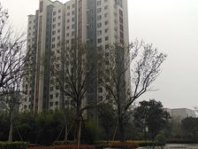 济宁恒大名都 2室2厅 南