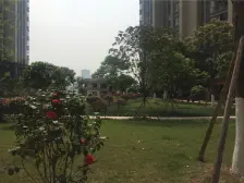 视野开阔,采光充足,楼层适中,小区环境优越