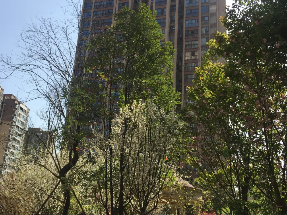 小区相关图