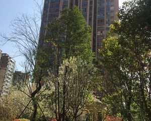 蓝润蓝客城3室1厅西北