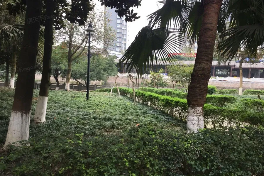 【重庆陈家桥二开发区小区,二手房,租房】- 重庆房天下