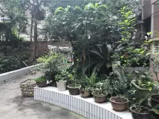 老城区 世纪华庭三房41万