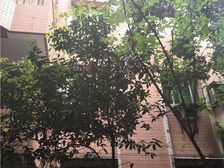 环线南湖站两房户型方正出入方便