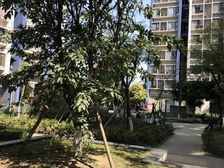 新南四期1室1厅东