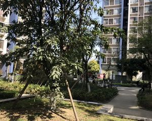新南四期1室1厅东