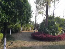 盛豪首港城 4室2厅 南