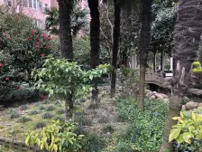 近地铁 电梯房,随时看房 热销好房