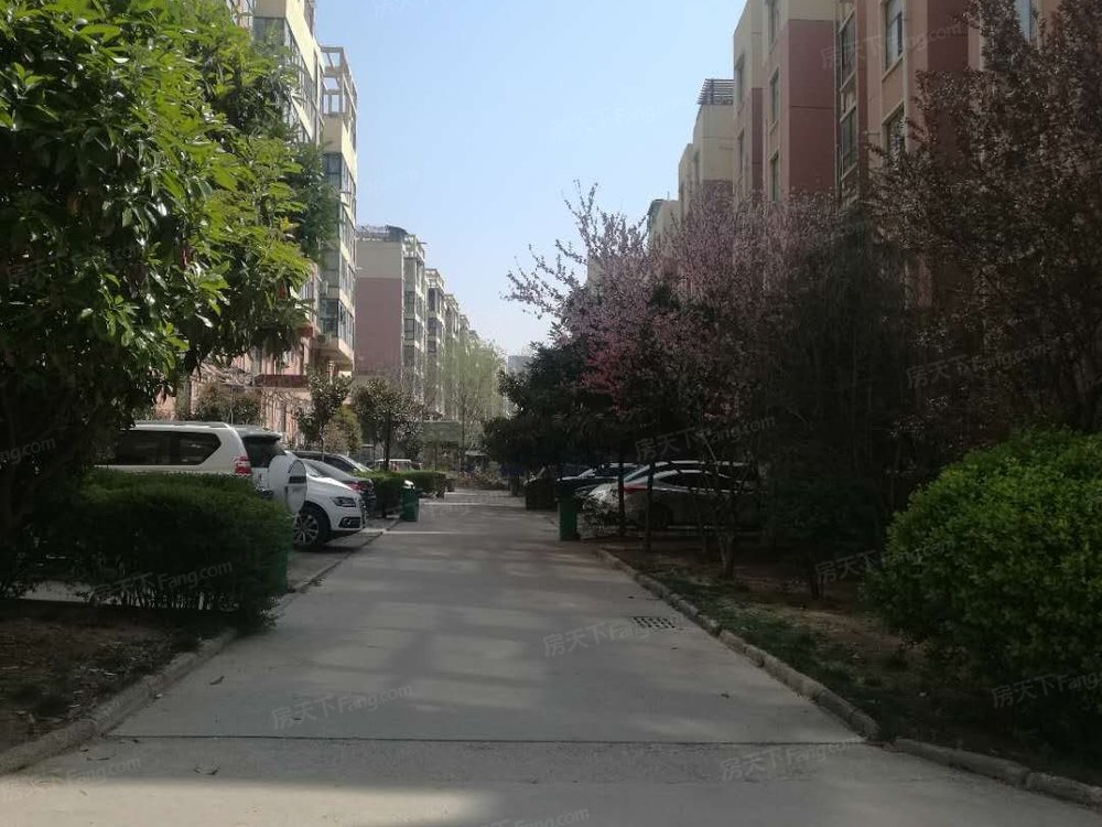 小区相关图