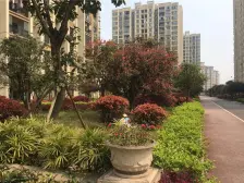 鱼洞 云水苑二房45万