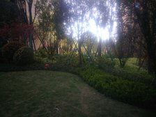 复地御香山3悦 3室2厅 西南