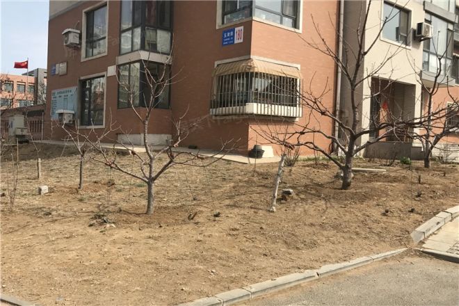 泡崖康顺园实景图