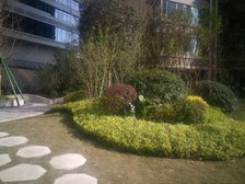 复地御香山3悦 4室1厅 东南 南