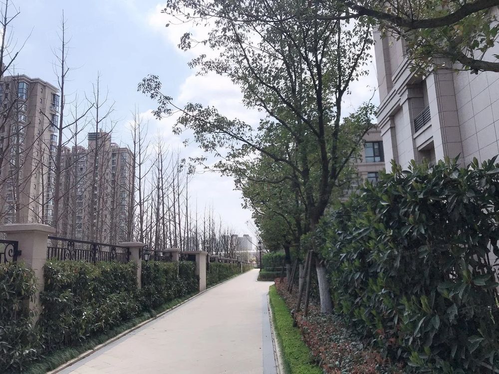 小区相关图