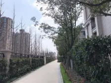 中环内,人车分流次新小区,管家式联排别墅