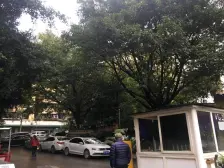 三色花园 2室1厅 南