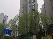 融汇江山 精装4房 视野开阔 实木家具 诚心出售