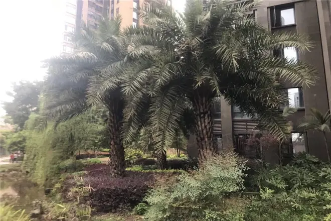 申佳上海时光实景图