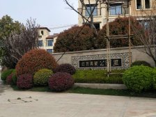 公园里联排中间户,南院,地下室已挖好,土建已完成