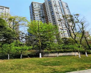 成都玩家3室2厅东南