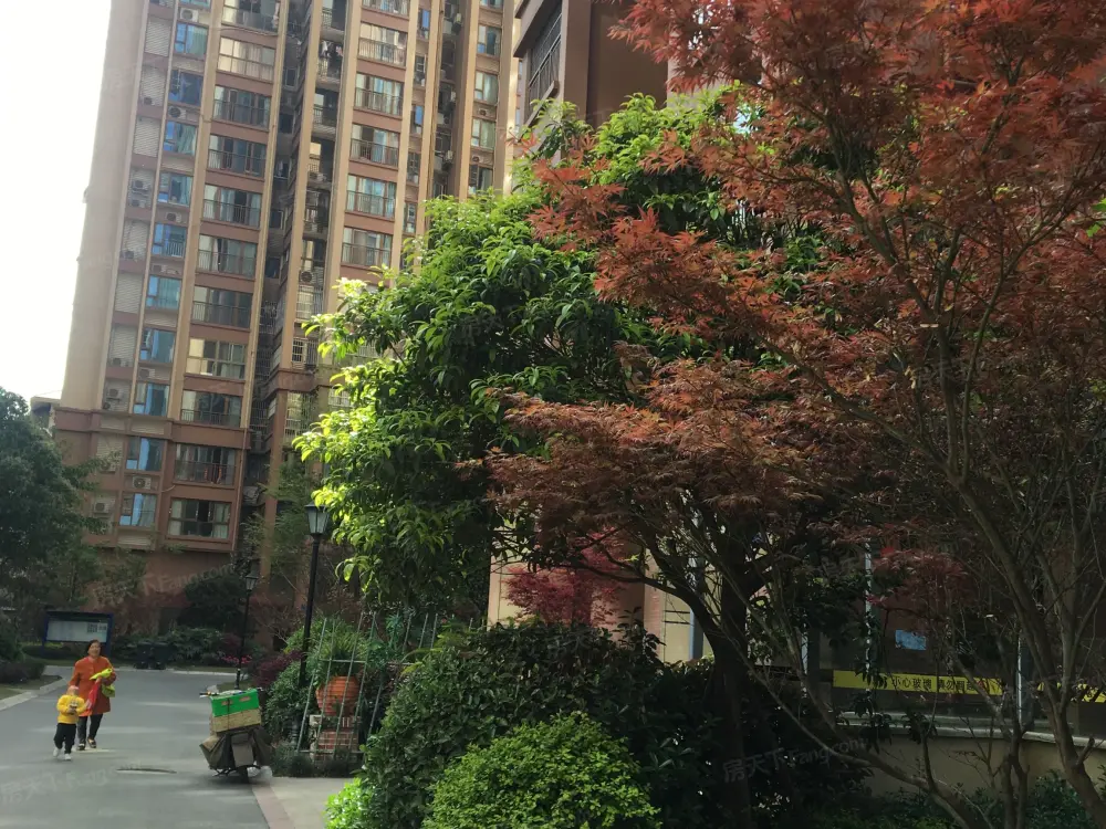 小区相关图