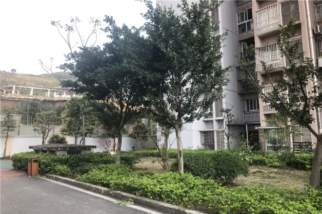 龙成小区实景图