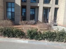 左岸阳光 2室2厅 南