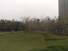 恒大名都-低楼层-带俩车位,诚心出售