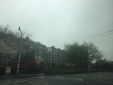 楼层好户型佳物业服务好交通便利