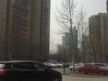 京贸家园1室1厅南