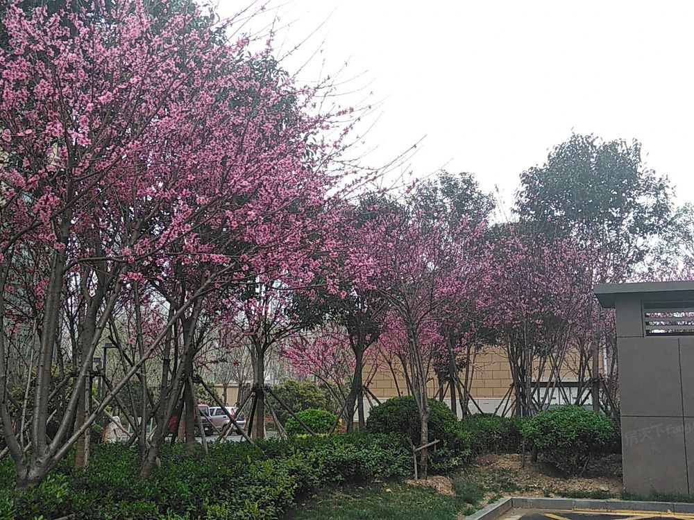 小区相关图