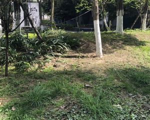 新南四期1室1厅东南
