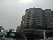 棕南俊园4室1厅南