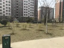 德尚世家 2室1厅 南