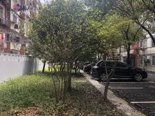 高乐小区 3室2厅 南 北