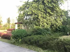 清水洋房花园地下室,户型通透方正随时看房