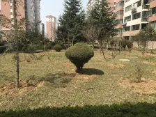 德尚世家 1室2厅 南 北