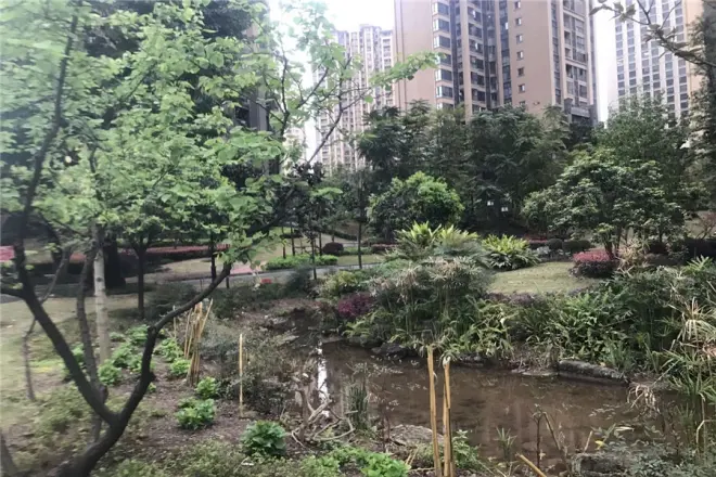 申佳上海时光实景图