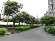 鹭岭尚品 2室2厅 东南