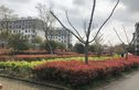 永丰苑实景图