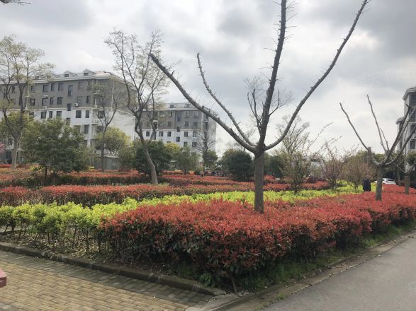 永丰苑实景图