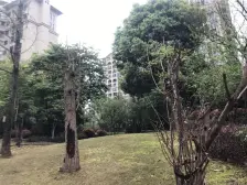 楼层比较好,业主诚心卖,户型方正