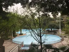 北部新区 金科中华坊紫园四房145万