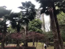 渝北南方玫瑰城黄瑰苑82.89平 3室2厅2卫,宜居舒适,南