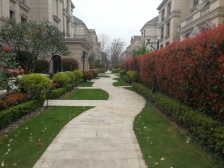 小区中心位置,电梯房,主卧朝南,采光充足,精装修