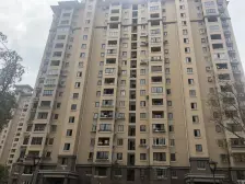 瑞和城玖街区(鲁康路555弄) 2室1厅 南