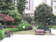 业主安心卖,跃层上下一样大,视野开阔,采光好