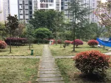 龙洲湾 都灵态度三房50万