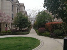 小区中心位置,电梯房,主卧朝南,采光充足,精装修