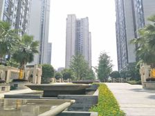 戛纳湾金棕榈 3室1厅 西南 东北