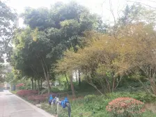 轻轨站旁精装三房,此房结合了小区的优点,业主诚心